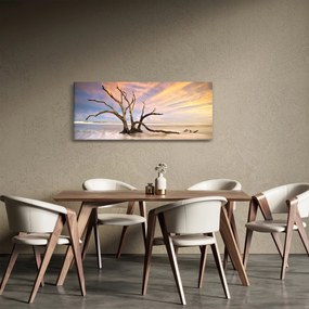 Obraz stromu v oceáne (120x50 cm)