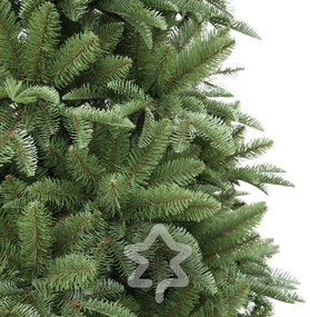 Jedľa Normandská extra hustá 240 cm