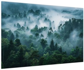Obraz - Les v hmle (90x60 cm)