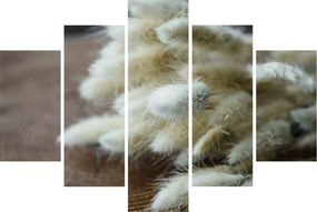 Obraz - Zajačí chvostík (150x105 cm)