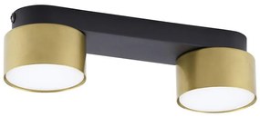 Bodové svietidlo SPACE GOLD 2xGX53/15W/230V