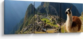 Obraz - Lama a Machu Picchu (s hodinami) (90x30 cm)