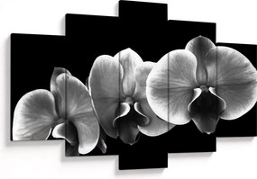 Obraz kvetu orchidey (150x105 cm)