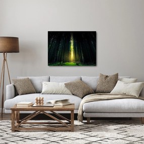 Obraz temného lesa (70x50 cm)