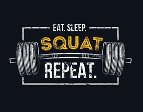 Ilustrácia Eat sleep squat repeat. Gym motivational, Mitoria