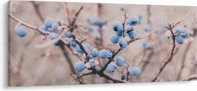 Obraz bobúľ na kríku (120x50 cm)