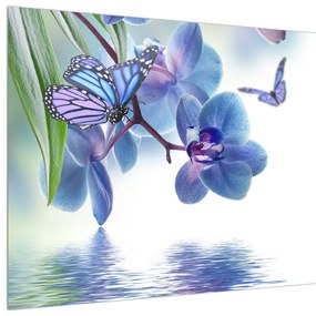 Obraz motýľa na kvetoch orchidee (90x60 cm)