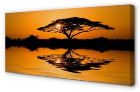 Obraz canvas Sunset tree 120x60 cm