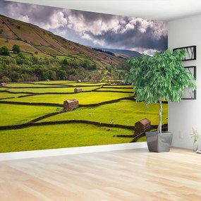 Fototapeta Vliesová Yorkshire poľa 250x104 cm