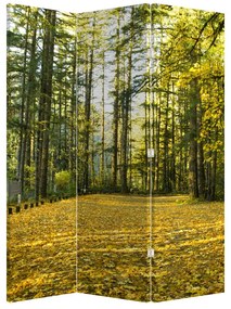 Paraván - Les na jeseň (126x170 cm)