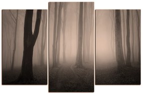 Obraz na plátne - Hmla v lese 1182FC (105x70 cm)