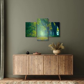 Obraz cesty lemovanej stromami (90x60 cm)