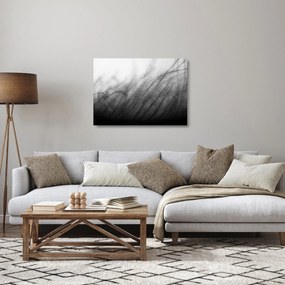 Sklenený obraz - Tráva vo vetre (70x50 cm)