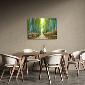 Sklenený obraz - Bambusový les (70x50 cm)