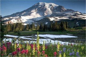 Obraz - Mount Rainier (90x60 cm)