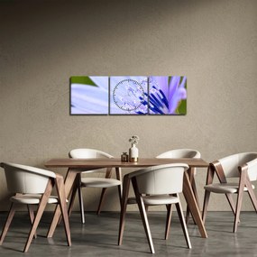 Obraz - kvet (s hodinami) (90x30 cm)