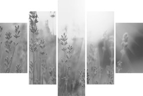 Obraz - Levanduľa (150x105 cm)
