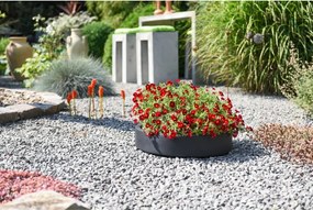 Miska na dekorácie CIRCULO, sklolaminát, Ø 50 cm, antracit