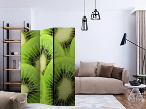 Artgeist Paraván - Kiwi slices [Room Dividers]