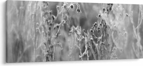 Obraz - Divoká lúka (120x50 cm)