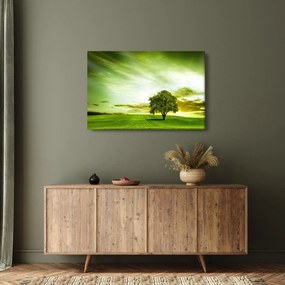 Obraz - Strom života (90x60 cm)