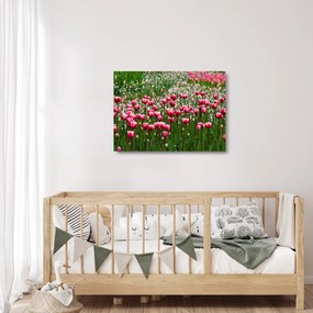 Sklenený obraz tulipánov (70x50 cm)