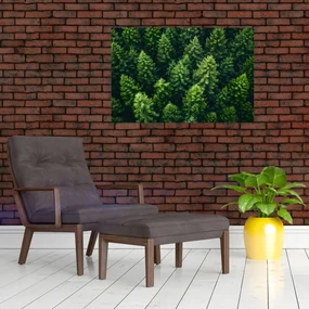 Obraz - Les (90x60 cm)