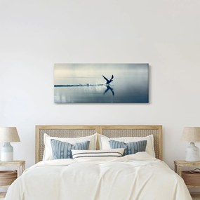 Obraz - Potáplica (120x50 cm)