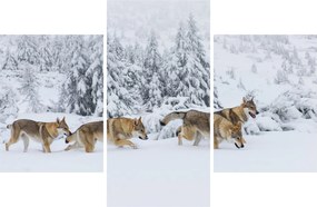Obraz - Vlci v horách (90x60 cm)