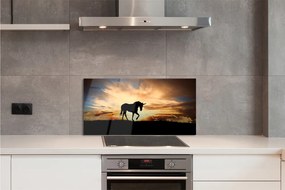Nástenný panel  Unicorn sunset 100x50 cm