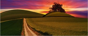 Obraz poľa a farebného neba (120x50 cm)