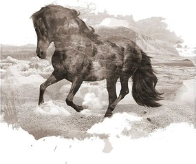Plagát Horse