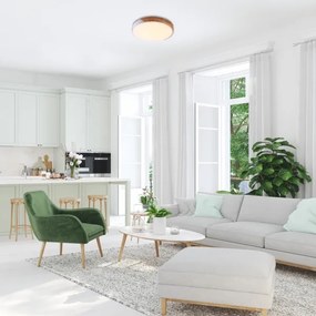 Rabalux 3527 - LED Stropné svietidlo MAPLE LED/24W/230V biela