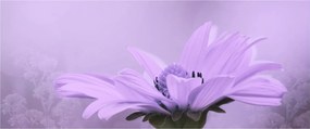 Obraz - Fialový kvet (120x50 cm)