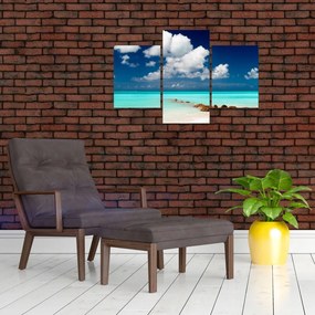 Obraz - Tropická pláž (90x60 cm)