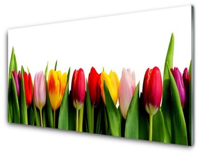 Obraz na akrylátovom skle Tulipány rastlina 100x50 cm