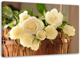 Obraz na plátně Bílé růže Květiny Příroda - 100x70 cm