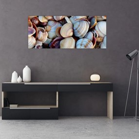 Obraz mušlí (120x50 cm)