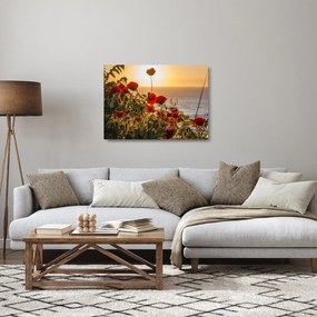 Sklenený obraz západu slnka s vlčími makmi (70x50 cm)