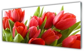 Obraz na akrylátovom skle Tulipány kvety rastlina 125x50 cm