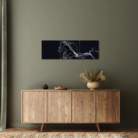 Obraz - Kôň a voda (s hodinami) (90x30 cm)