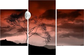Obraz - Mesiac osvetľujúce noc (90x60 cm)