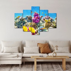 Obraz - Morský svet (150x105 cm)