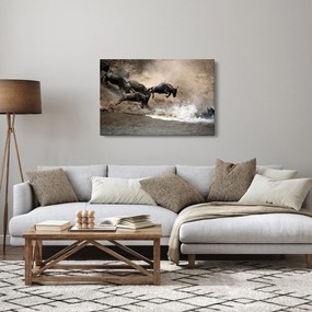 Obraz - Stádo pakoňov (90x60 cm)