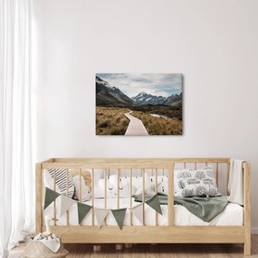 Obraz - Chodník v údolí hory Mt. Cook (70x50 cm)