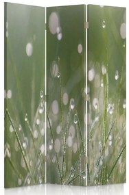 Ozdobný paraván, Kapky rosy na trávě - 110x170 cm, trojdielny, obojstranný paraván 360°