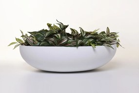 Okrasná miska PLANA, sklolaminát, 11xØ43 cm, biela