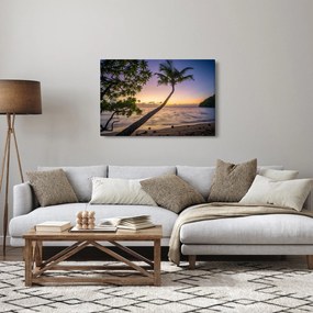 Obraz palmy na pláži (90x60 cm)