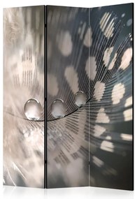 Artgeist Paraván - Elegant Feather [Room Dividers]