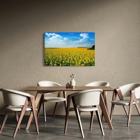 Obraz - pás slnečníc (90x60 cm)
